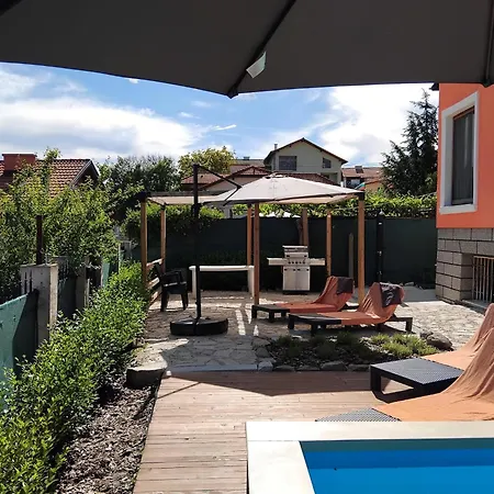Hedgehog - таралеж Velingrad